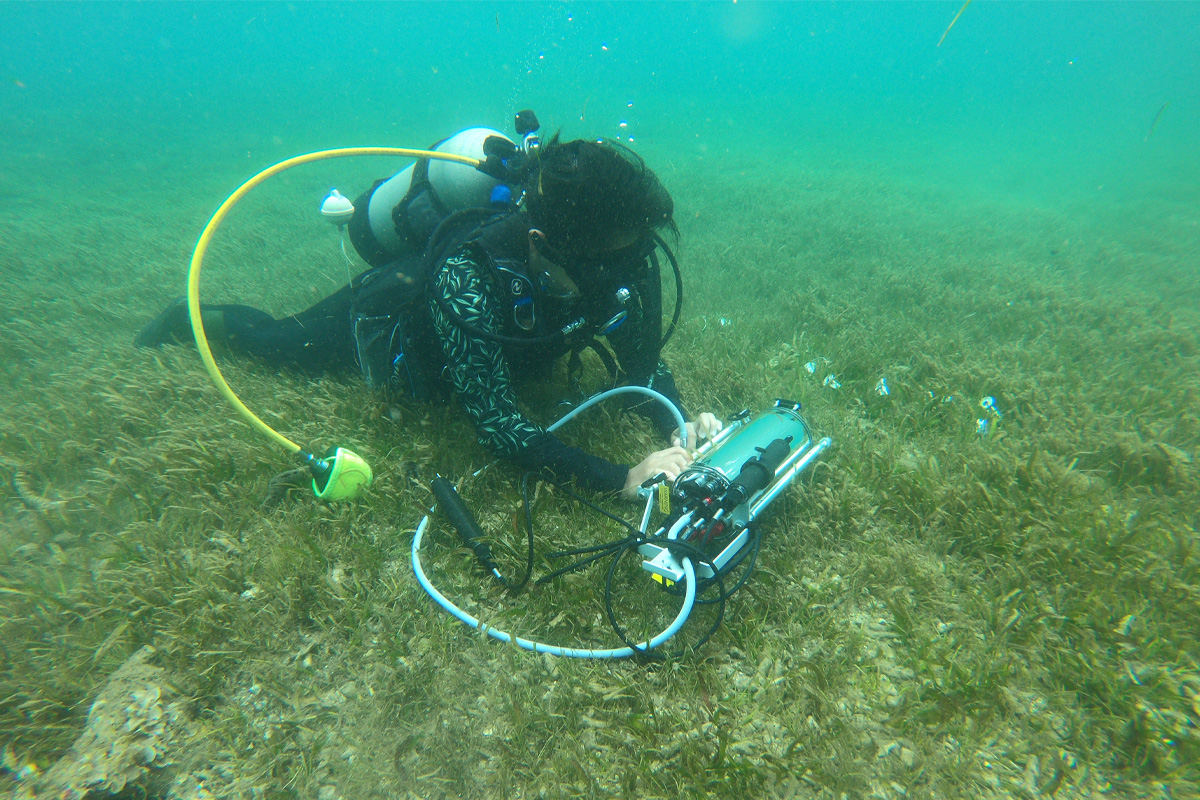 Mariche量測海草床光合作用，分析海草吸收二氧化碳能力。