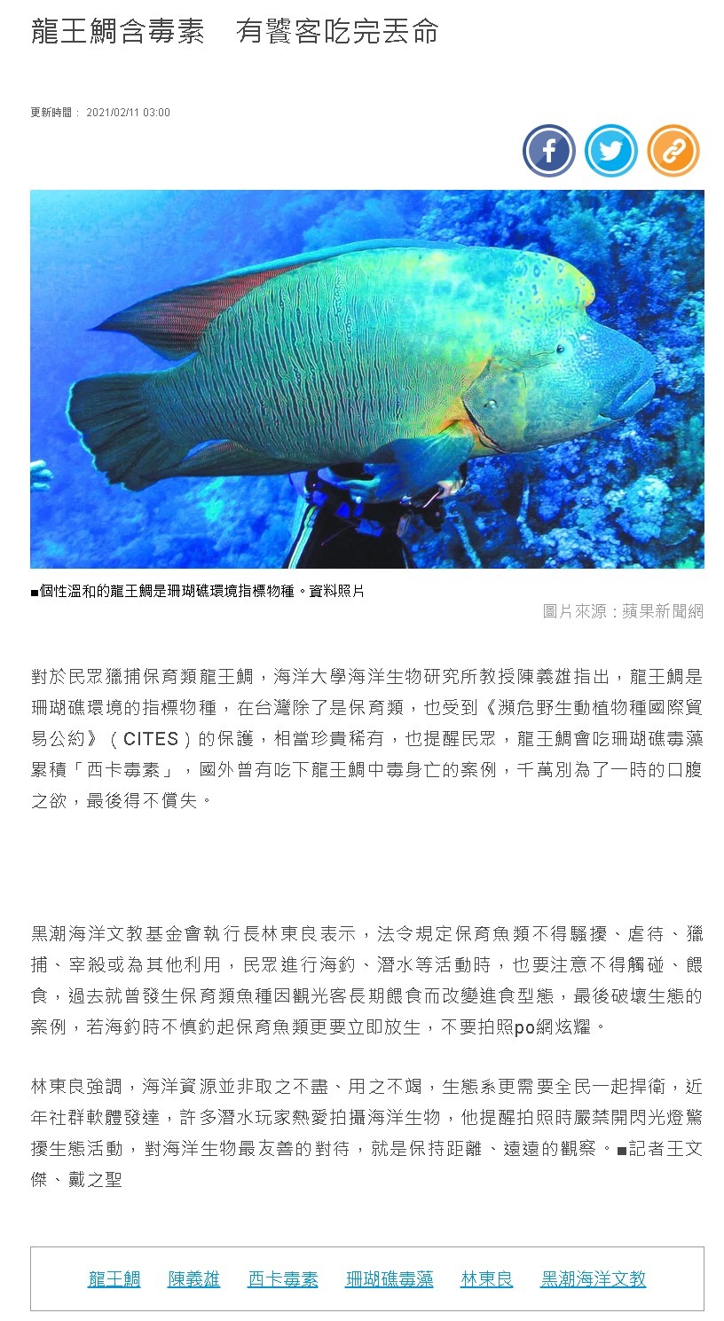 蘋果日報-龍王鯛