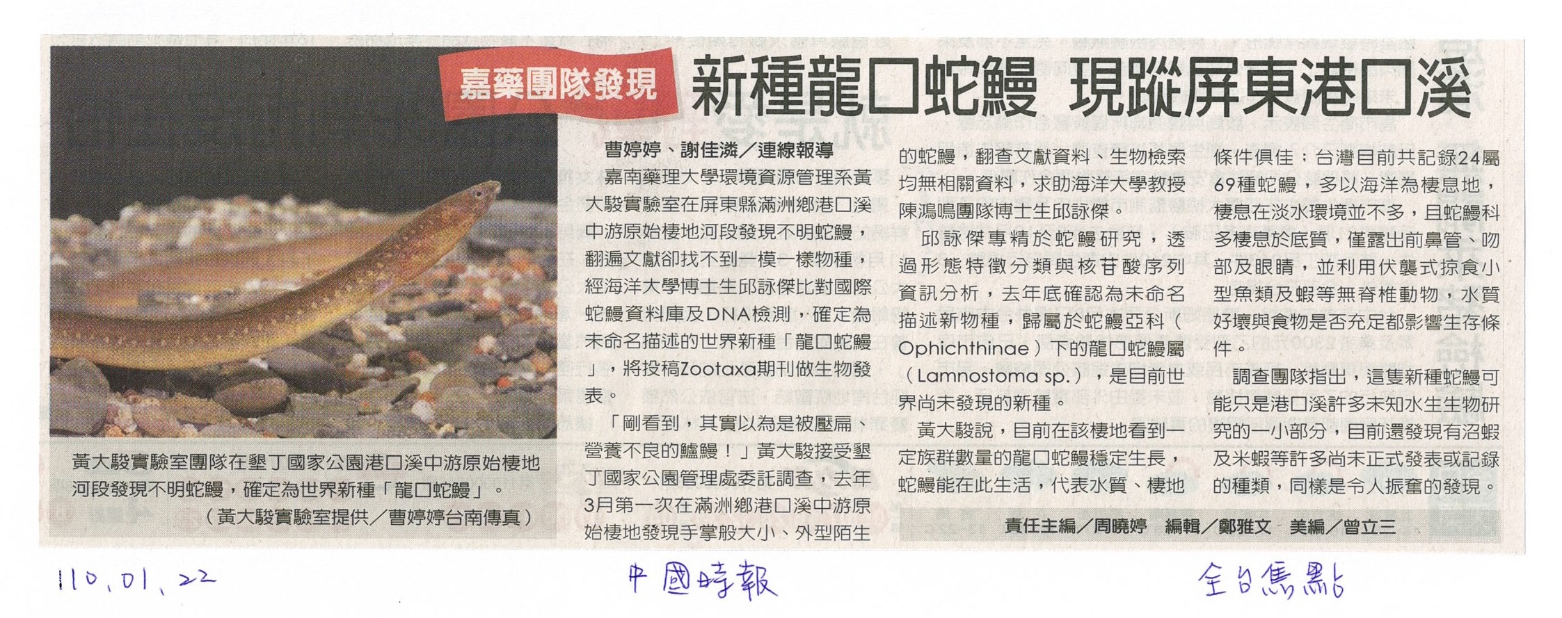 中國時報-新種龍口蛇鰻
