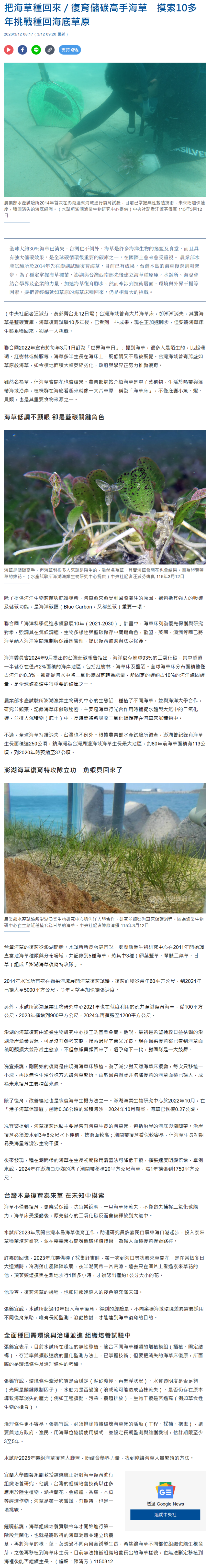 把海草種回來／復育儲碳高手海草　摸索10多年挑戰種回海底草原