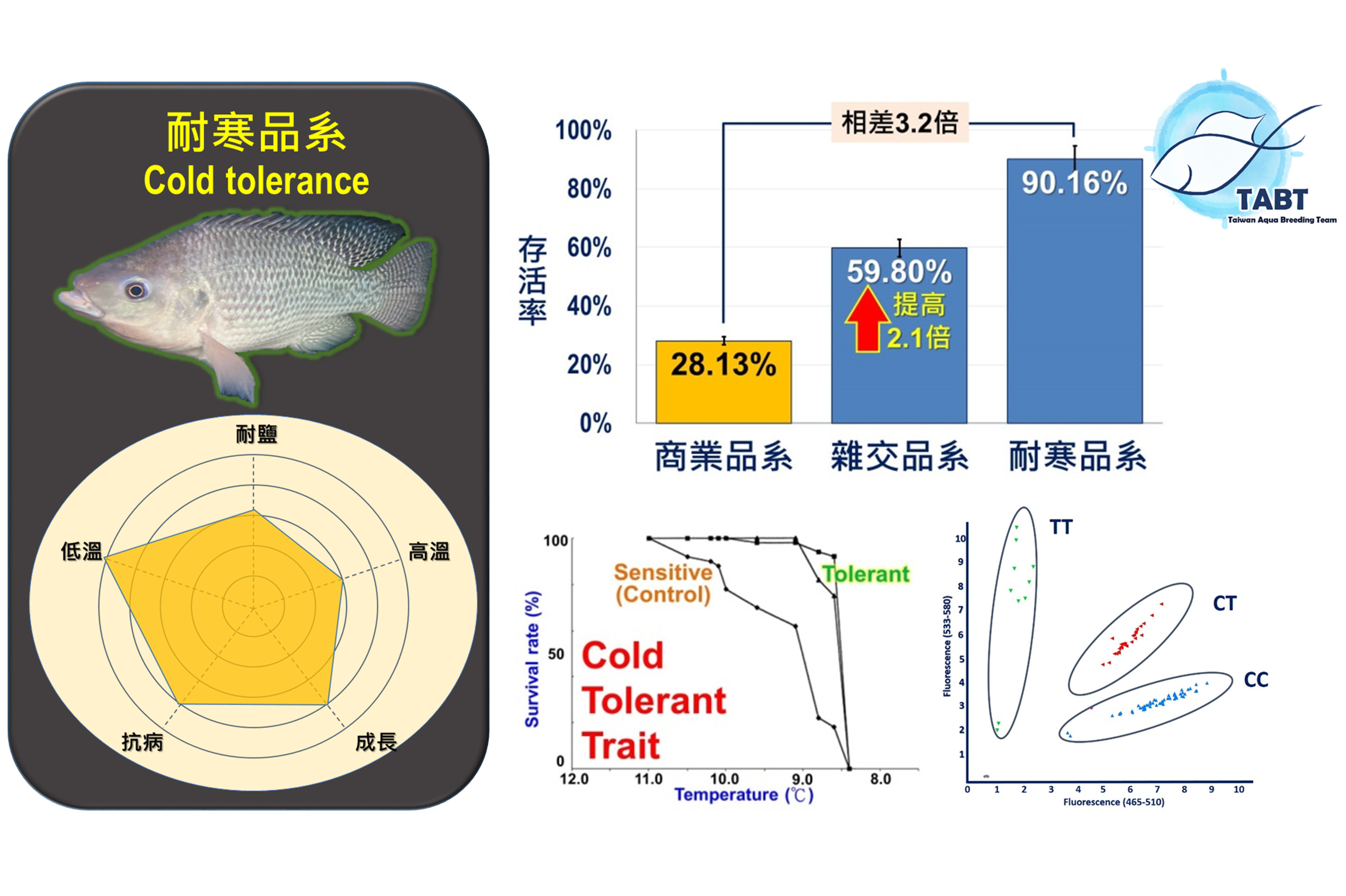 TABT長期對臺灣鯛耐寒品系功能基因體分子標記與人工智慧辨識等精準選育科技平台進行深度研究