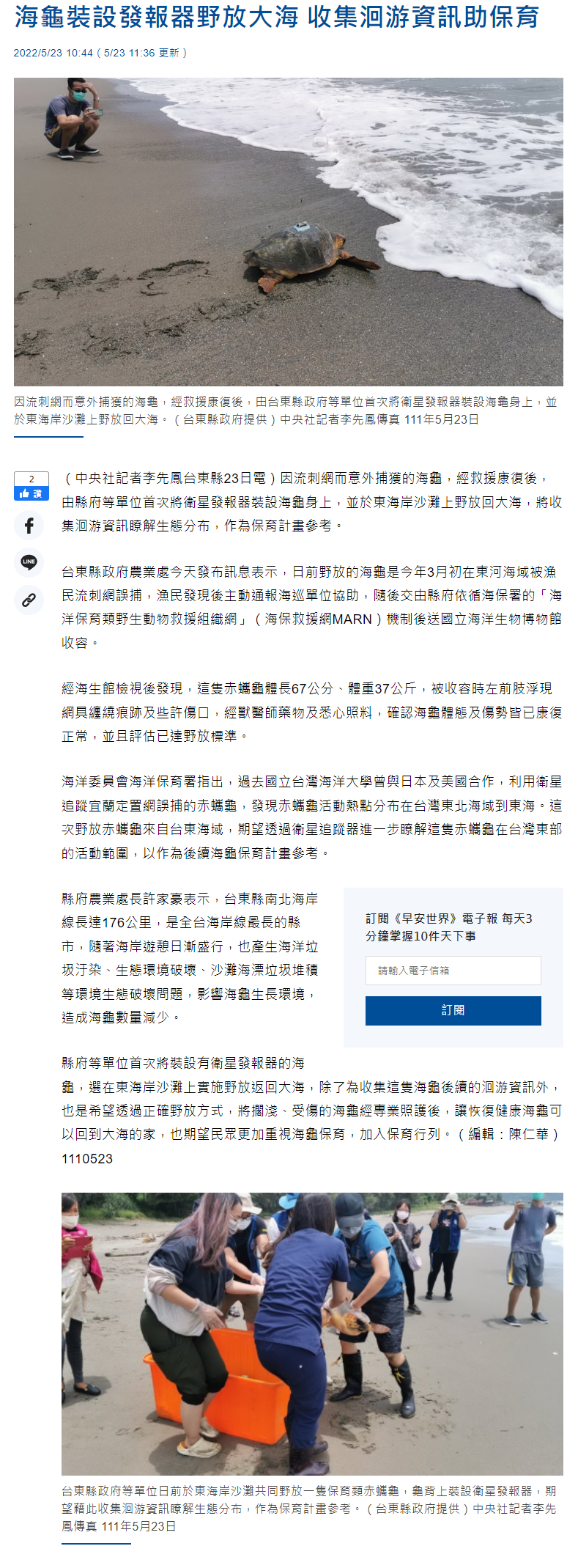 海龜裝設發報器野放大海 收集洄游資訊助保育 - 生活 - 中央社 CNA