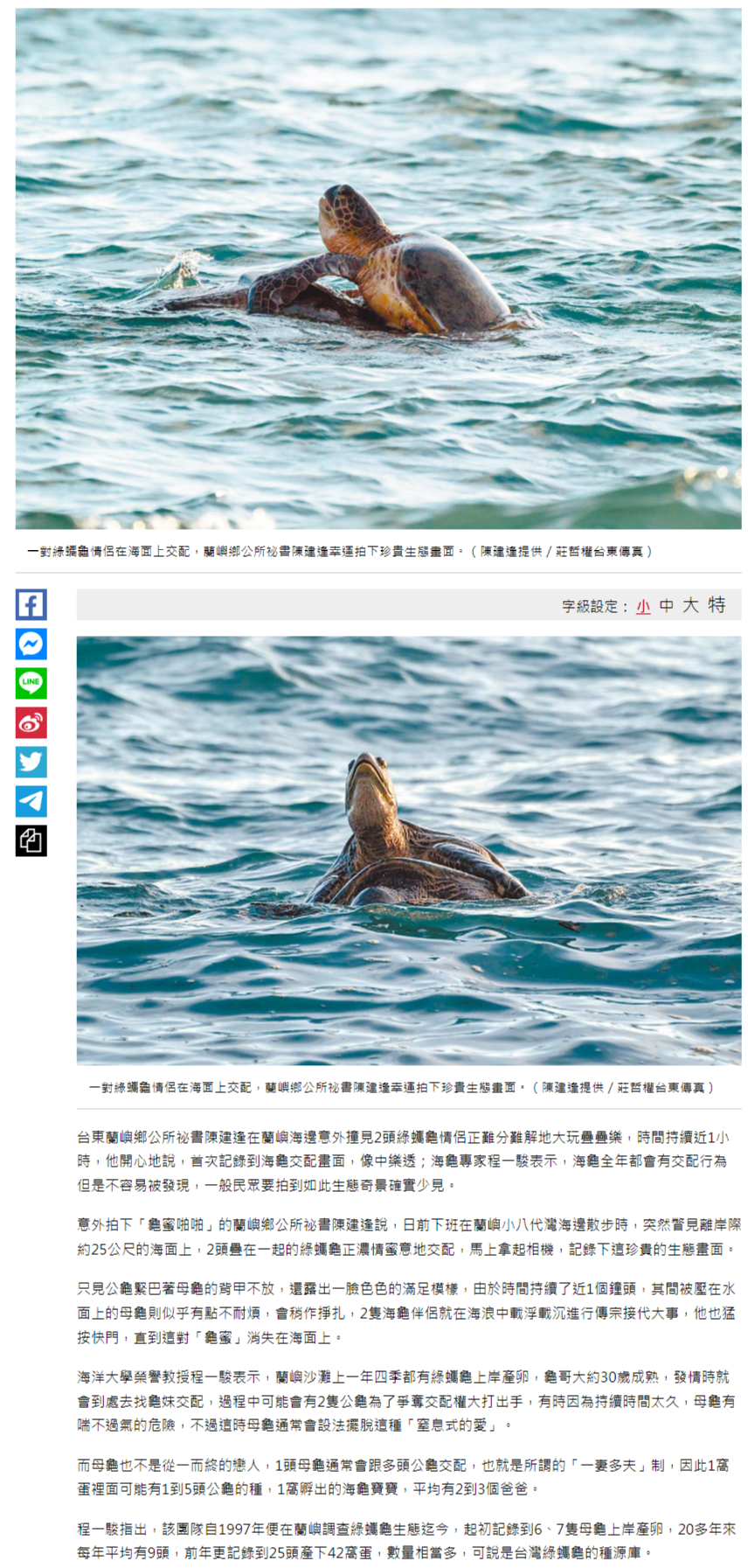 蘭嶼龜蜜疊疊樂 慾海浮沉全都錄