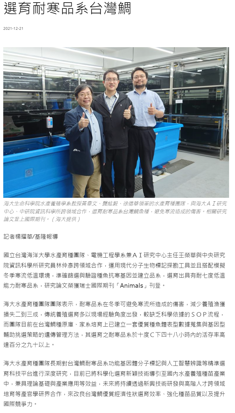 選育耐寒品系台灣鯛