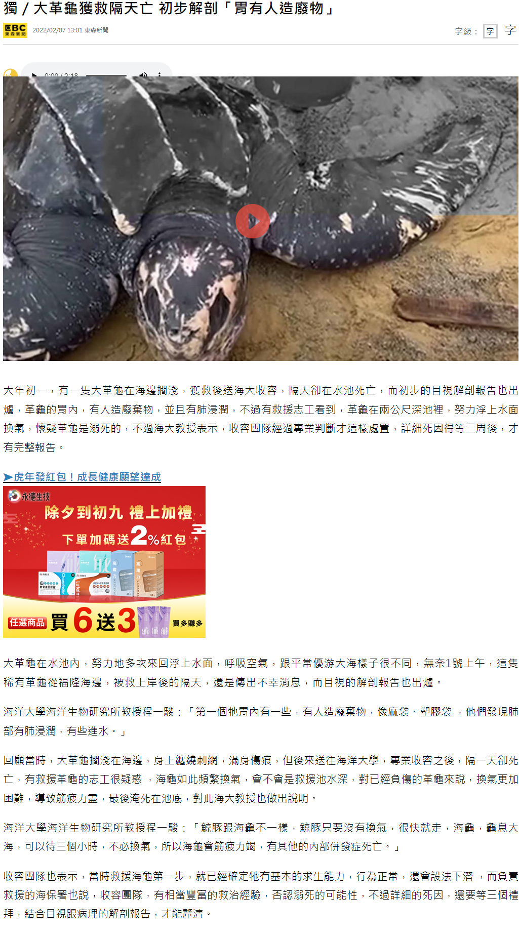 大革龜獲救隔天亡 初步解剖「胃有人造廢物」