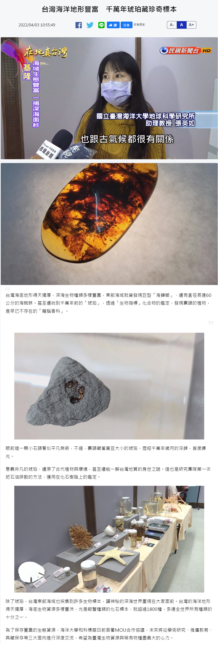 台灣海洋地形豐富　千萬年琥珀藏珍奇標