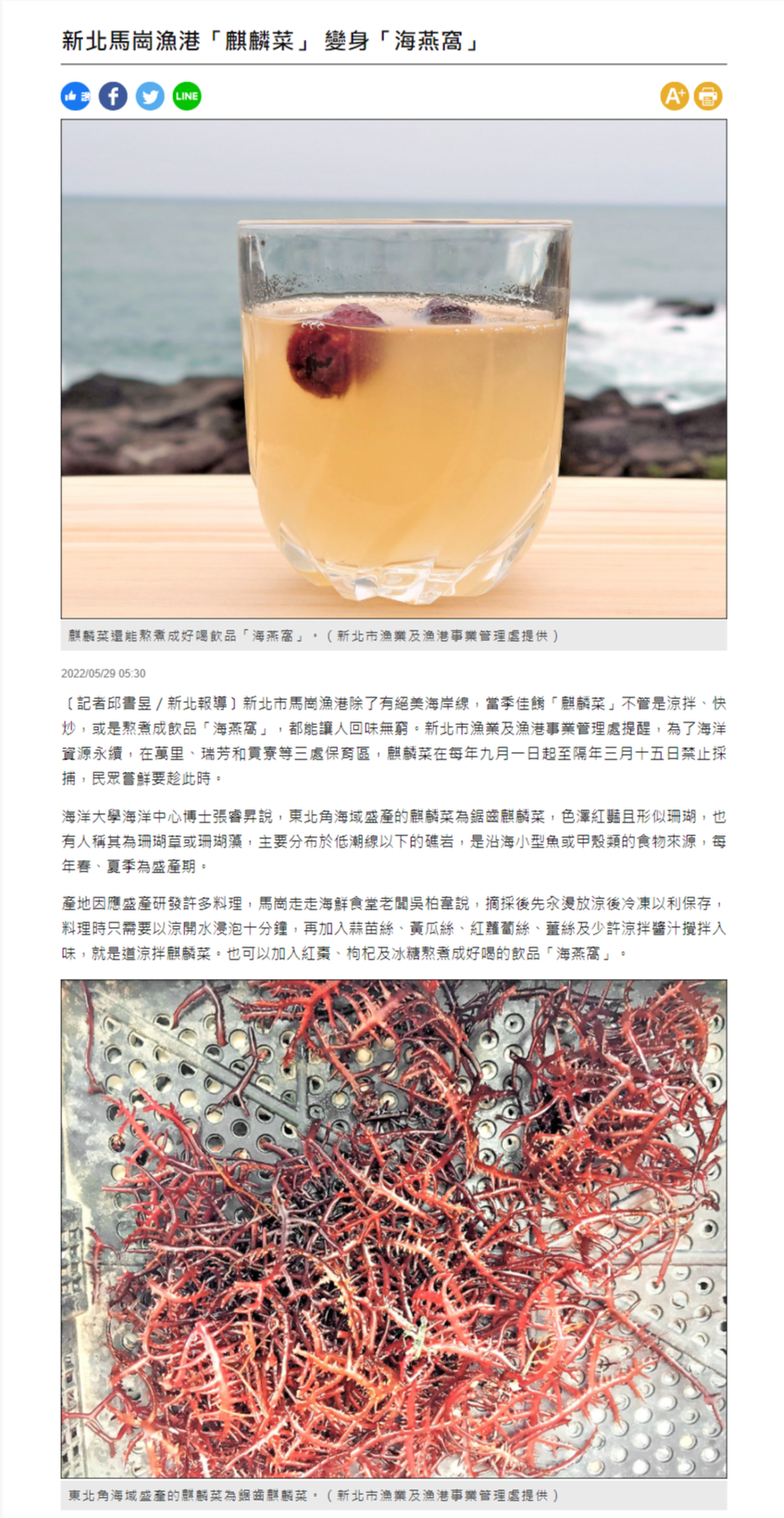 新北馬崗漁港「麒麟菜」 變身「海燕窩」 - 生活 - 自由時報電子報