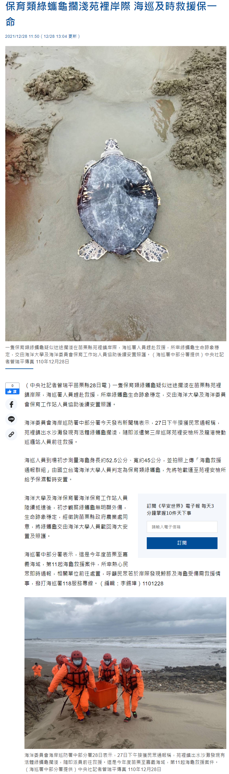 保育類綠蠵龜擱淺苑裡岸際 海巡及時救援保一命