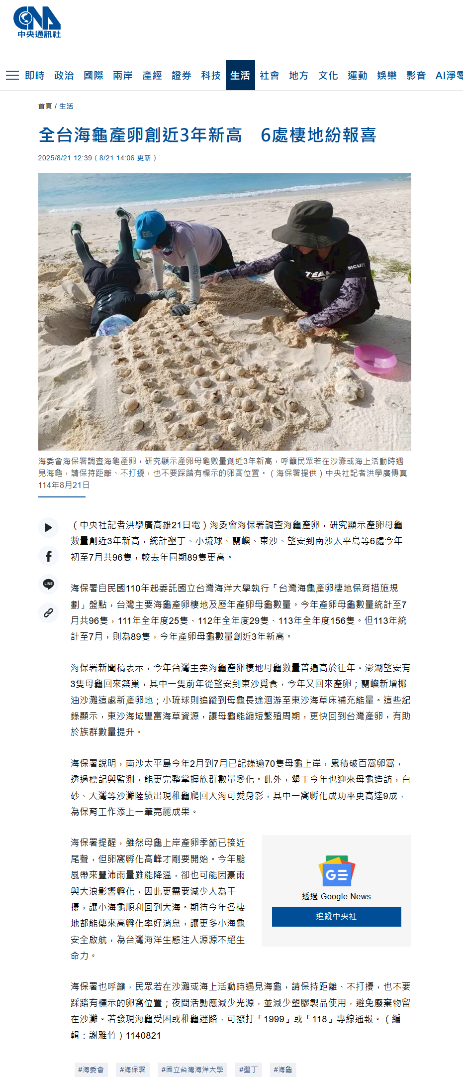 全台海龜產卵創近3年新高　6處棲地紛報喜