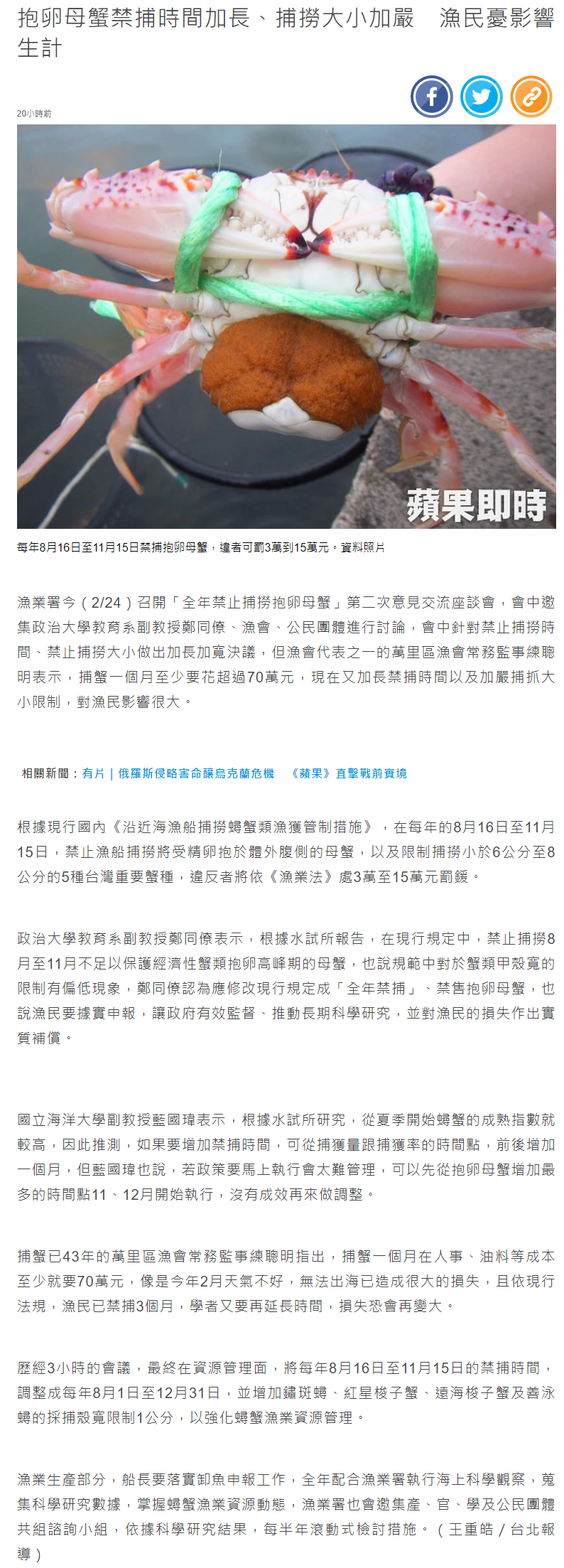  抱卵母蟹禁捕時間加長、捕撈大小加嚴　漁民憂影響生計