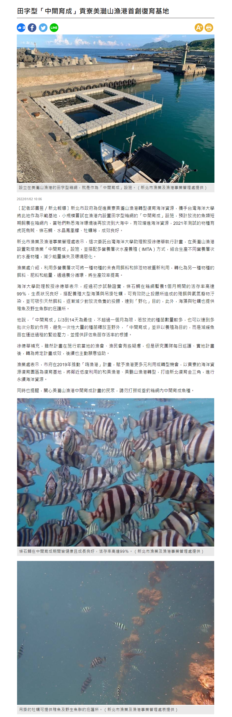  田字型「中間育成」貢寮美灩山漁港首創復育基地