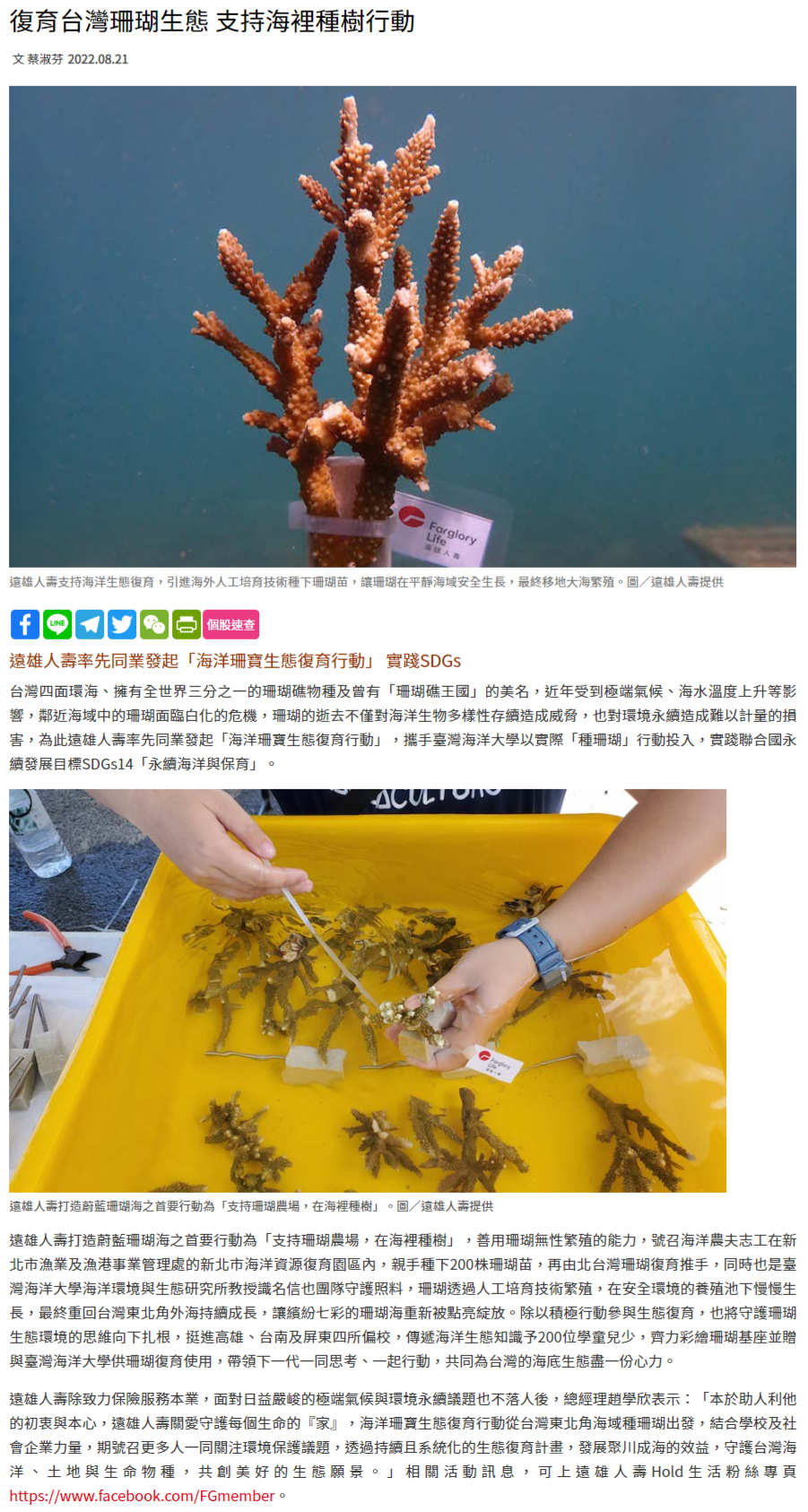 復育台灣珊瑚生態 支持海裡種樹行動 - 工商時報