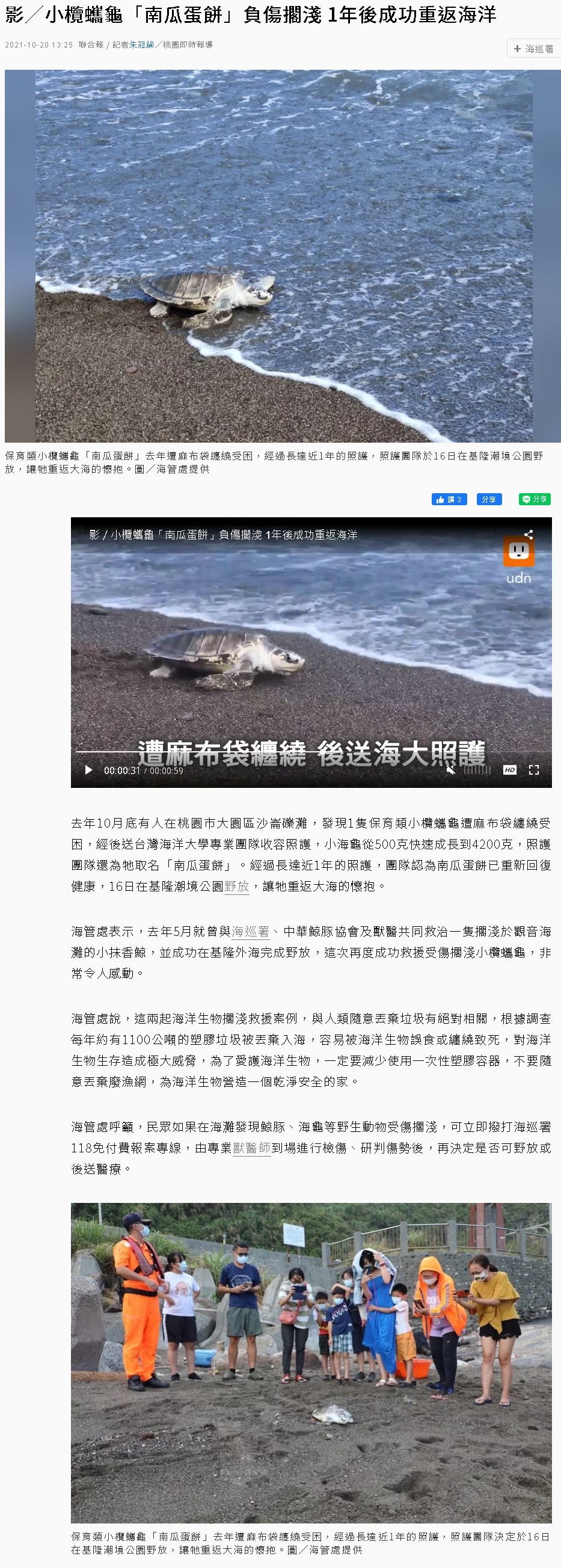 小欖蠵龜「南瓜蛋餅」負傷擱淺 1年後成功重返海洋