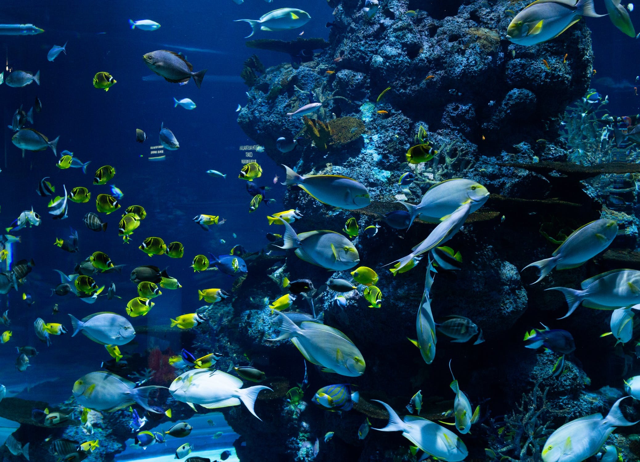 World Oceans Day 2022 : NTOU Research supports sustainable utilization of marine resources