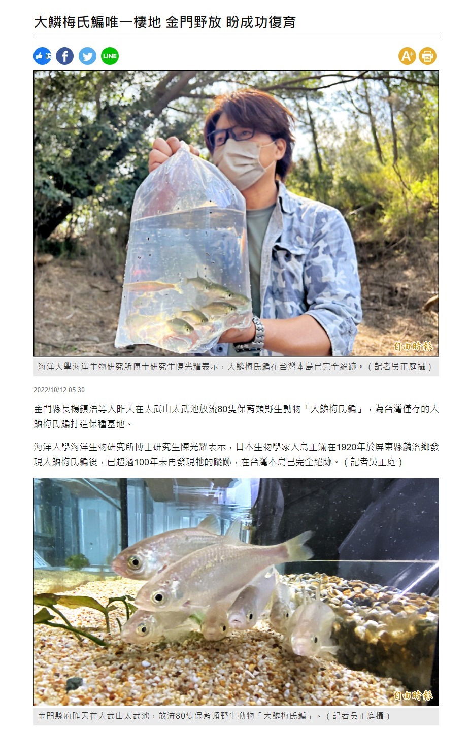 大鱗梅氏鯿唯一棲地 金門野放 盼成功復育