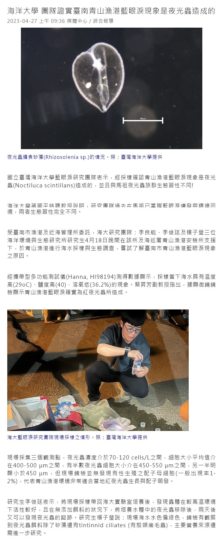 海洋大學 團隊證實臺南青山漁港藍眼淚現象是夜光蟲造成的