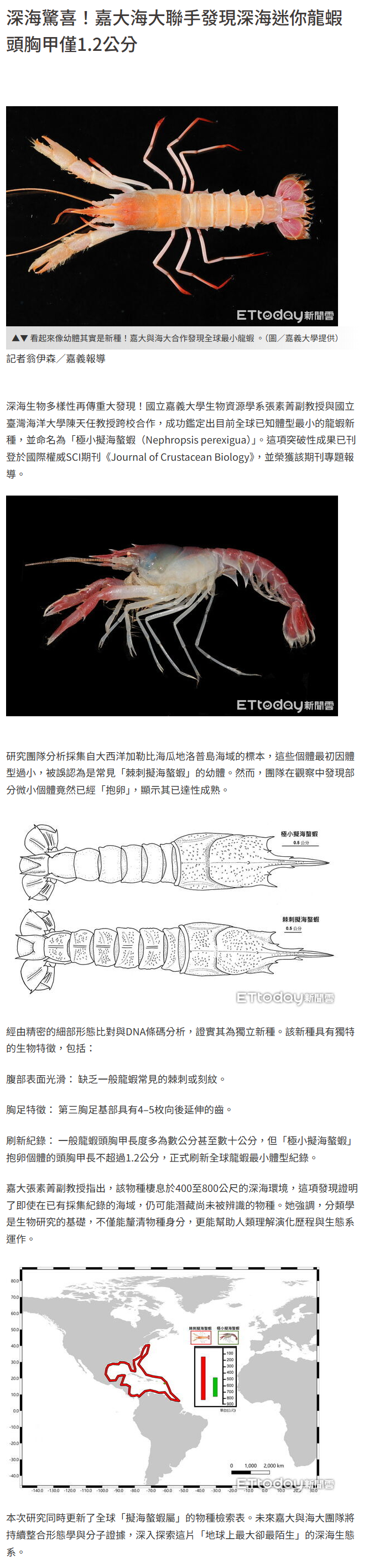 FireShot Capture 227 - 深海驚喜！嘉大海大聯手發現深海迷你龍蝦　頭胸甲僅1.2公分 - ETtoday生活新聞 - ETtoday新聞雲 - [www.ettoday.net].png