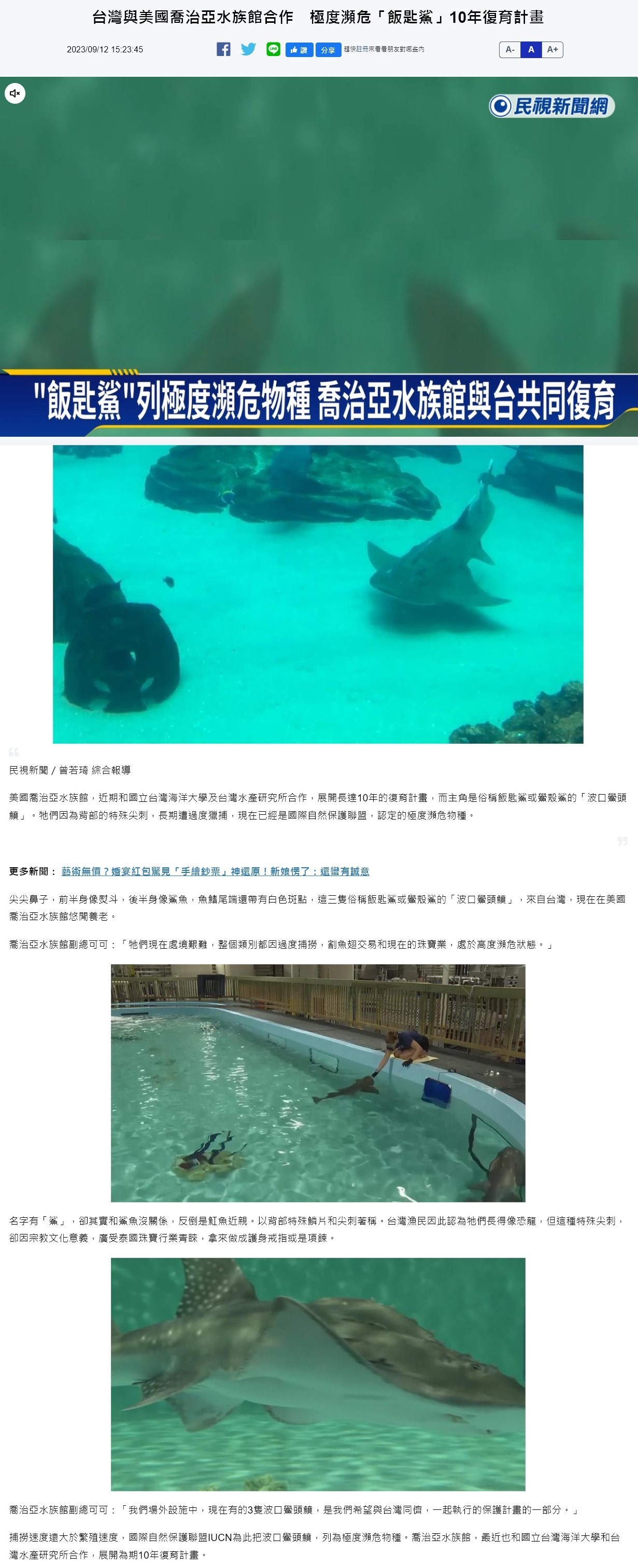 台灣與美國喬治亞水族館合作　極度瀕危「飯匙鯊」10年復育計畫