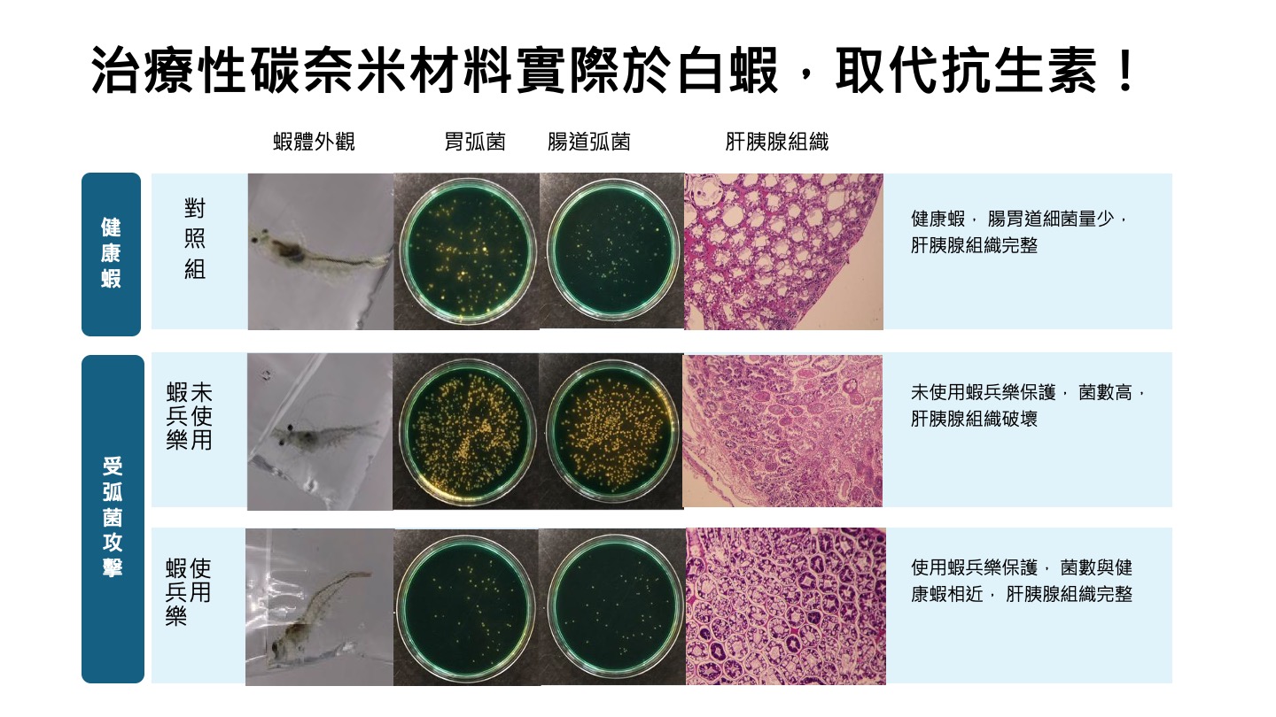開發出的機能性飼料添加劑產品實際使用於白蝦，證實可取代抗生素。