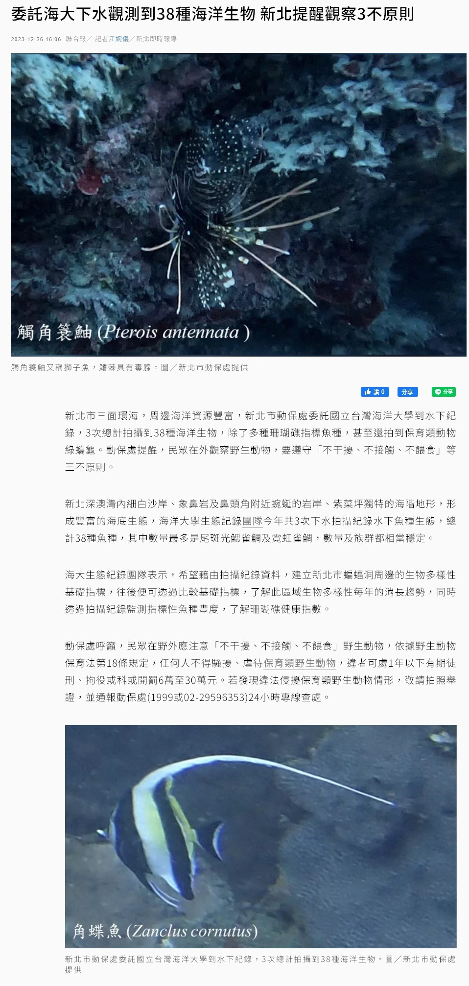 委託海大下水觀測到38種海洋生物 新北提醒觀察3不原則