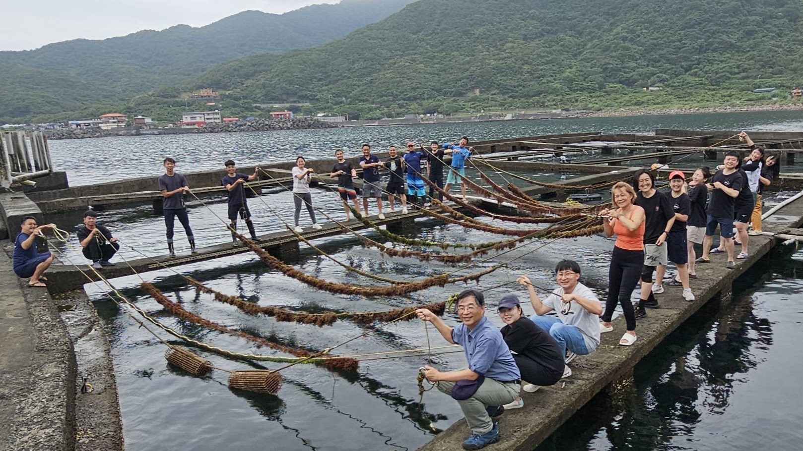 以九孔池吊掛藻繩，可有效提高海藻資源量