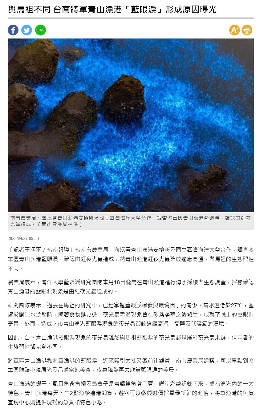 與馬祖不同 台南將軍青山漁港「藍眼淚」形成原因曝光