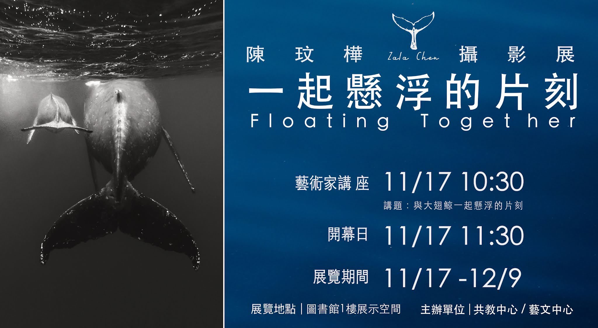 展期11月17日至12月9日，歡迎一同欣賞精湛的海洋生態攝影作品