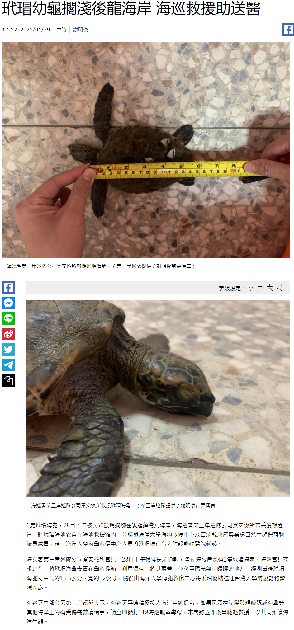 中國時報-海龜救援
