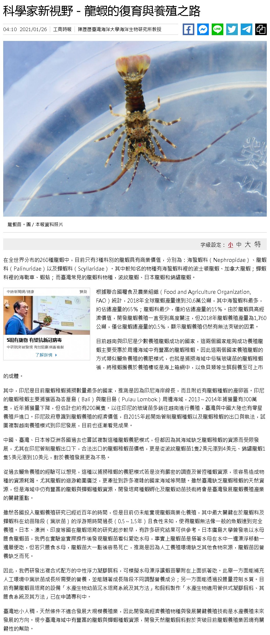 工商時報-陳歷歷老師龍蝦養殖