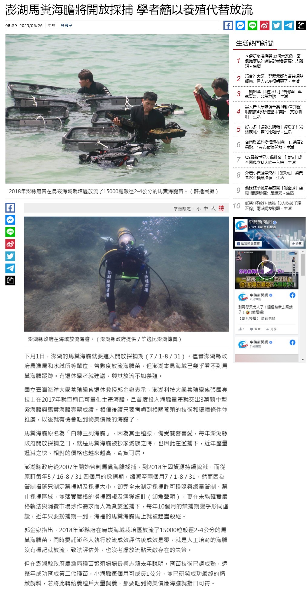 澎湖馬糞海膽將開放採捕 學者籲以養殖代替放流