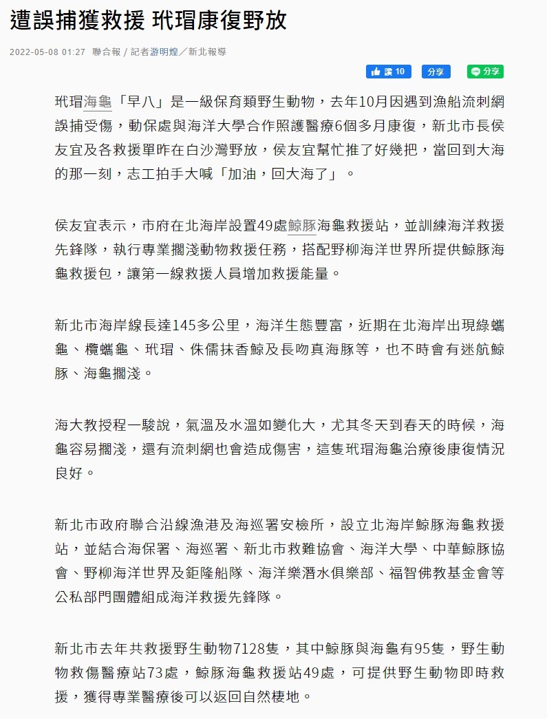 遭誤捕獲救援 玳瑁康復野放