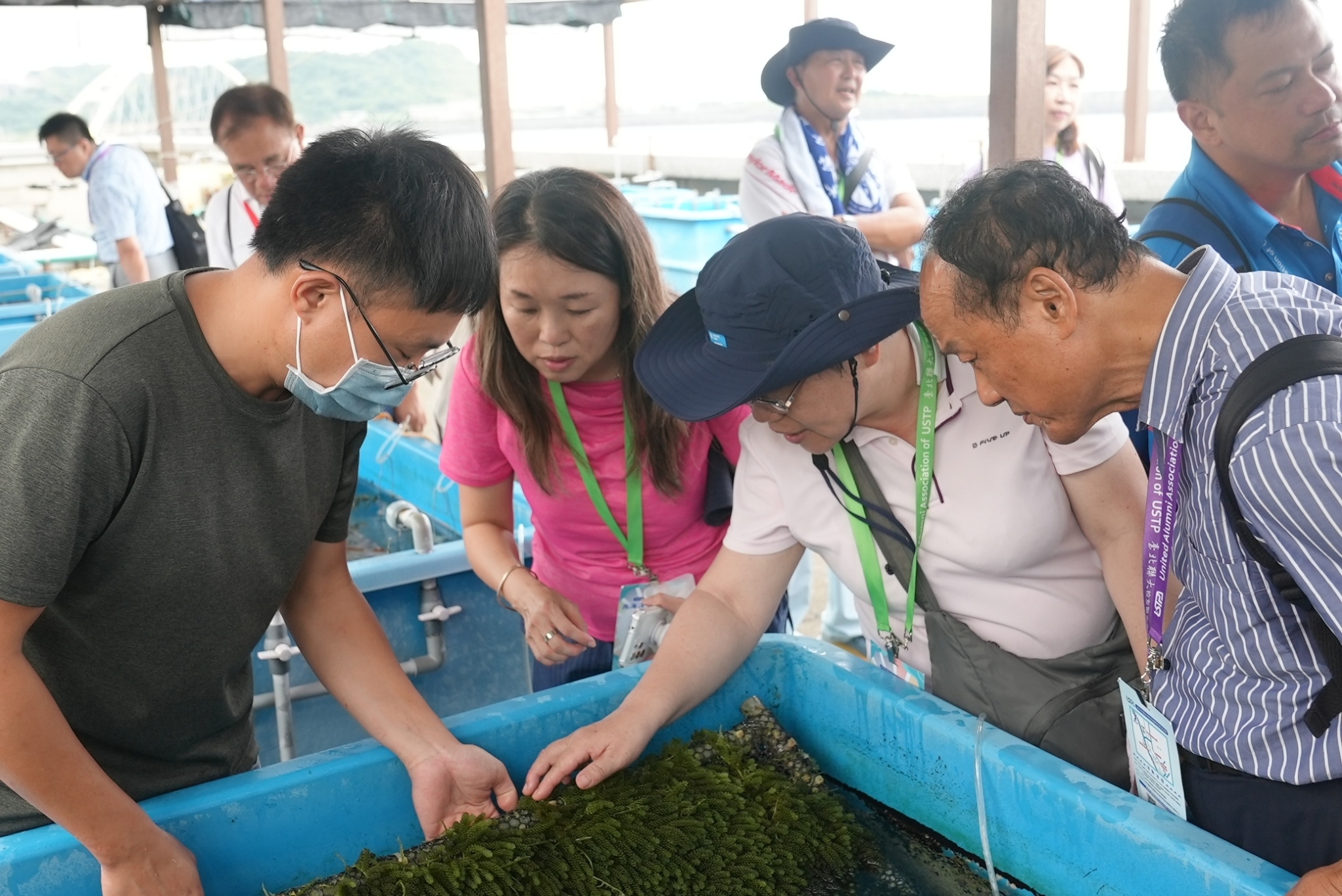 參觀海洋生物培育館了解藻類的培育