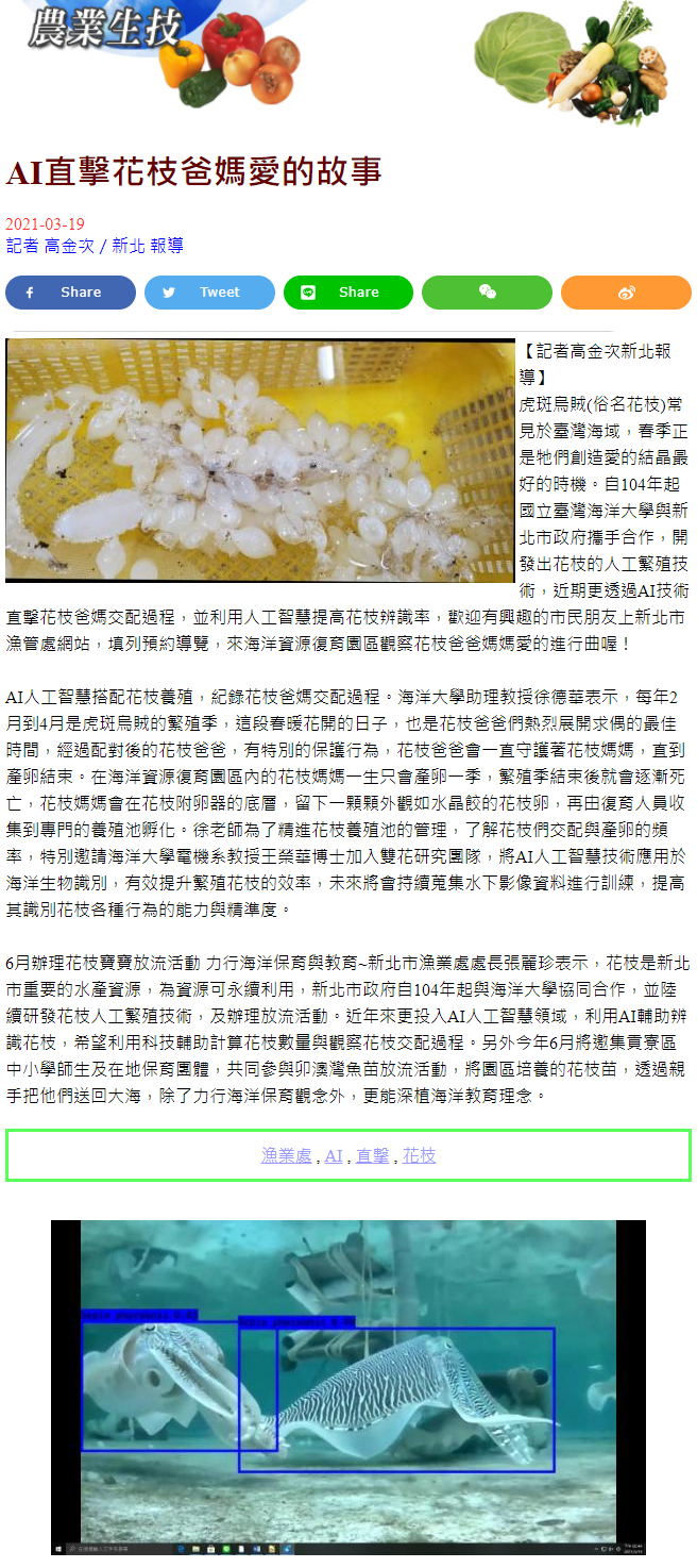 臺灣好報-徐德華花枝