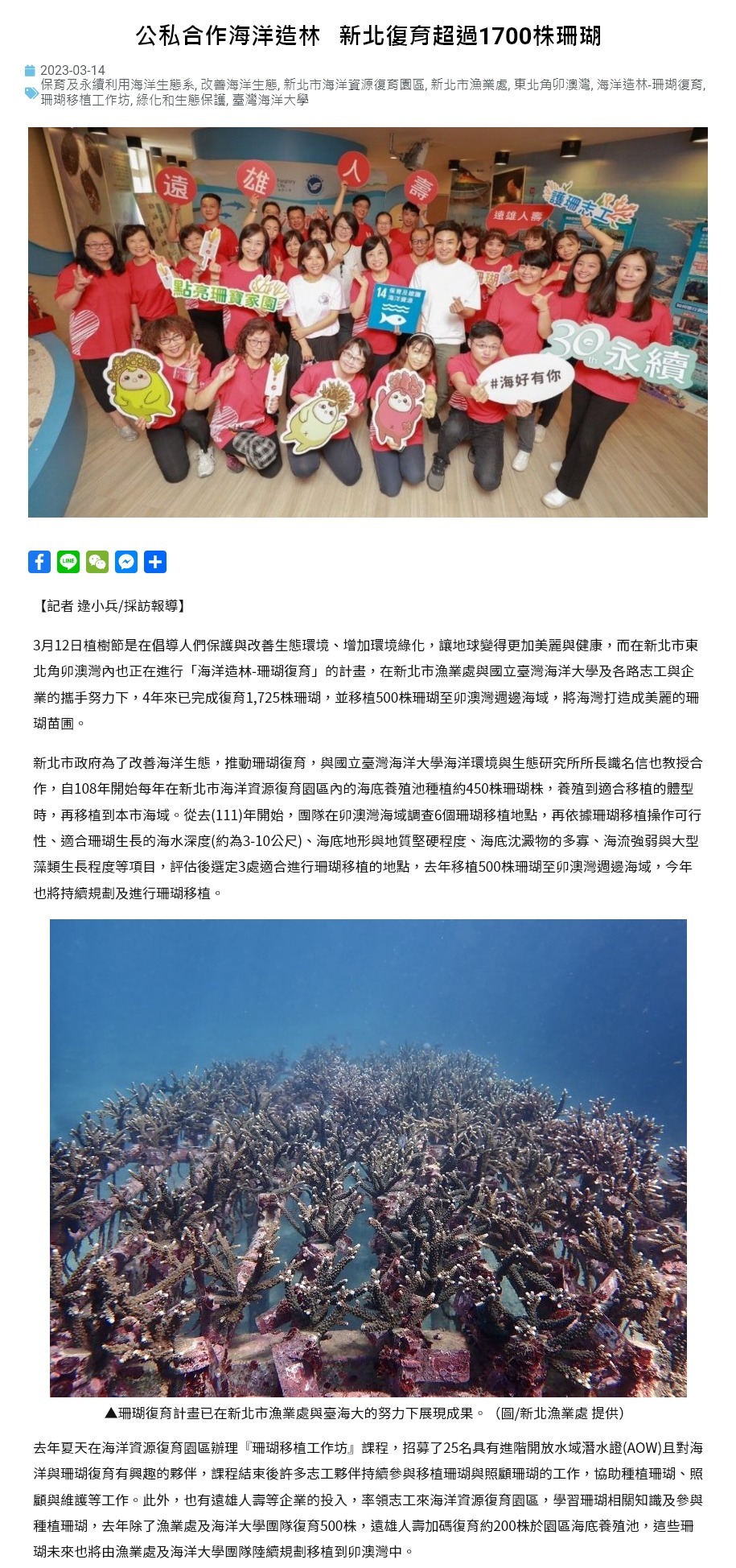 公私合作海洋造林   新北復育超過1700株珊瑚