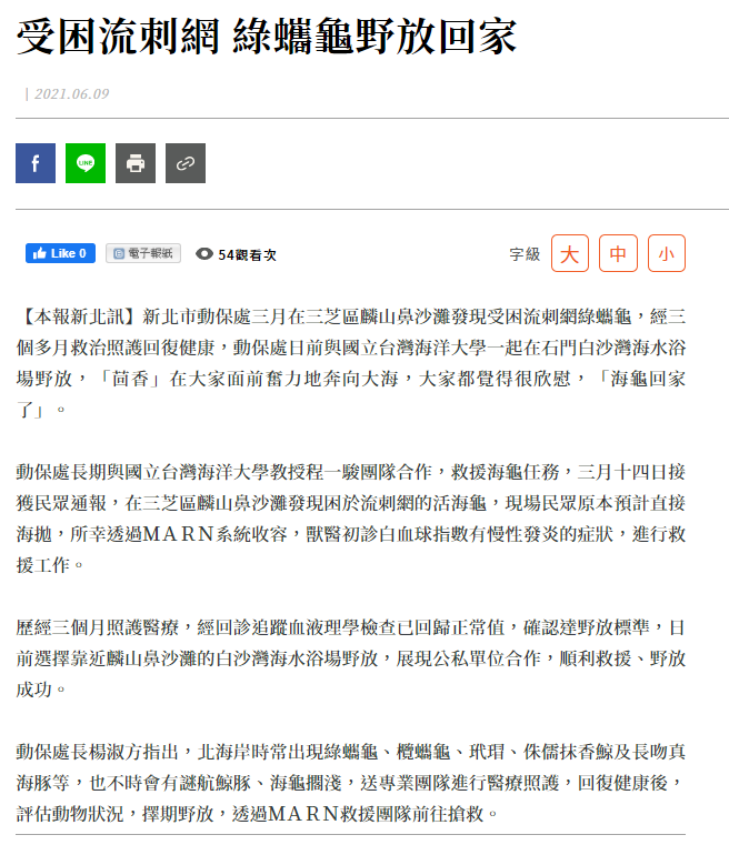 人間福報 -程一駿教授海龜團隊