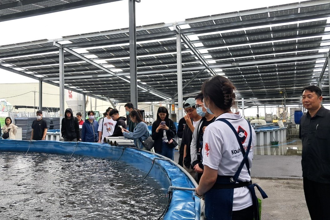 台灣鯛生態創意園區工作人員講解漁電共生實際運作