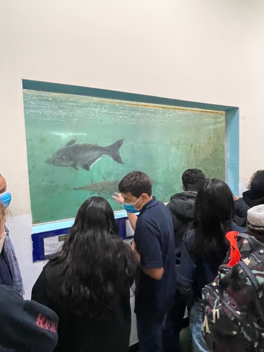 貝里斯高中師生參訪海大水生動物中心