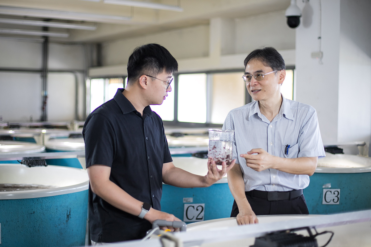 李孟洲教授(右)開發出一套專利化培養技術可規模化生產藻紅蛋白(左為團隊的葉翰揚博士)