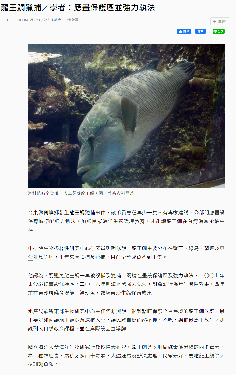 聯合報-龍王鯛