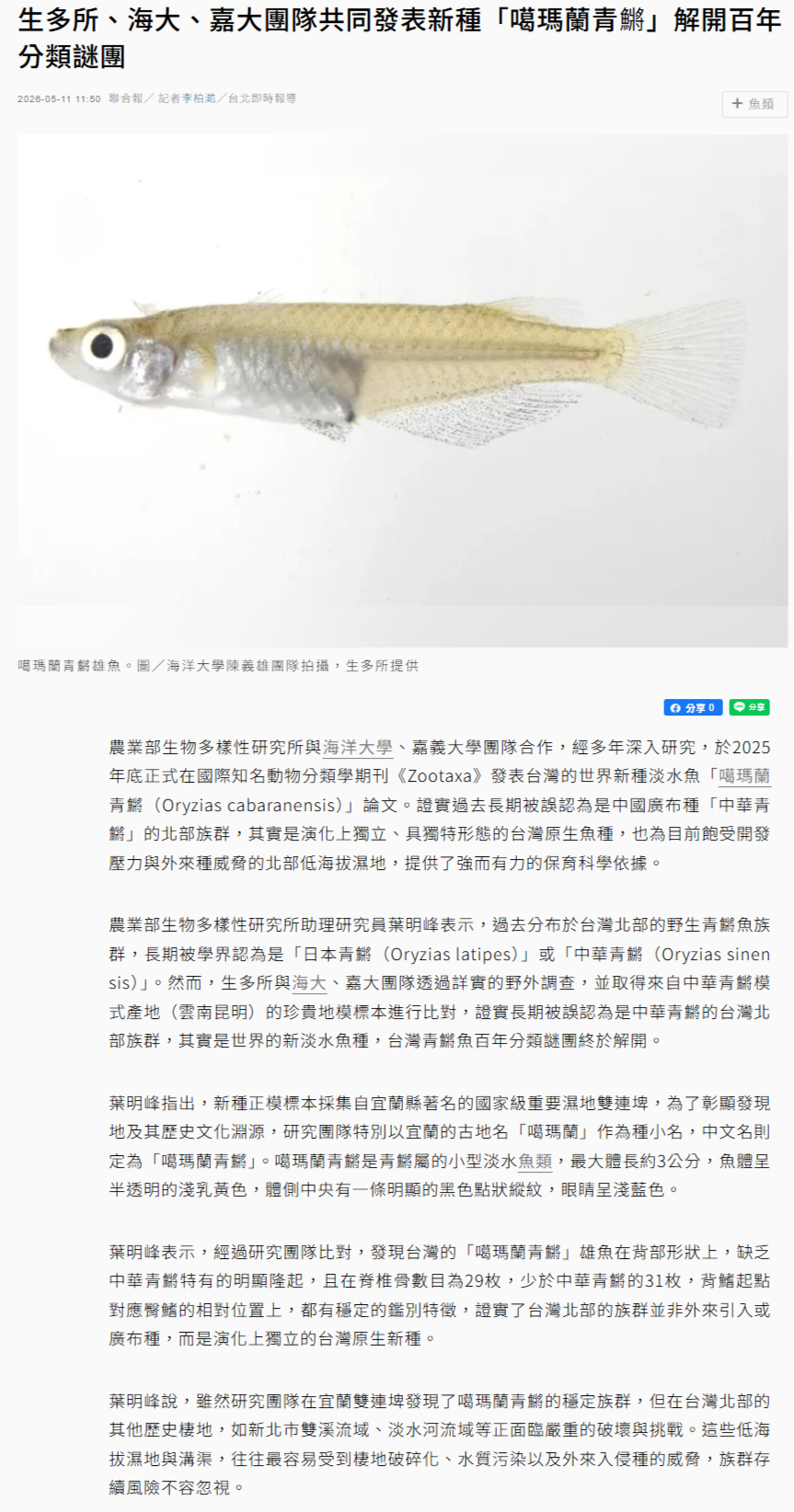 生多所、海大、嘉大團隊共同發表新種「噶瑪蘭青鱂」解開百年分類謎團