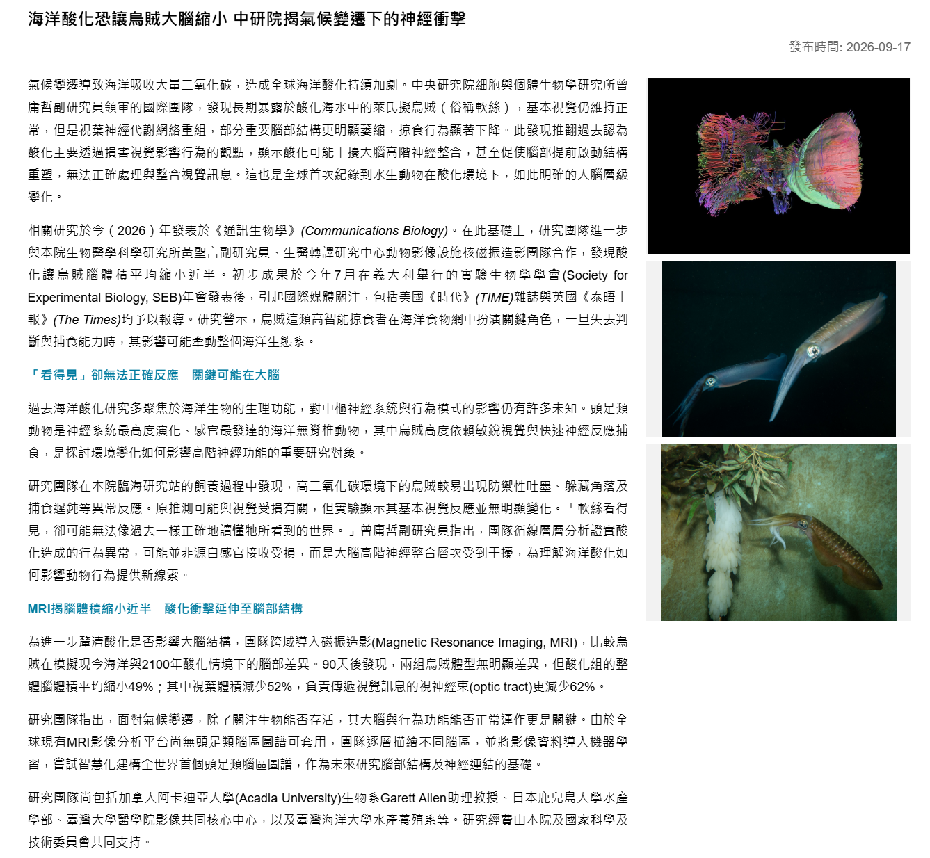 海洋酸化恐讓烏賊大腦縮小 中研院揭氣候變遷下的神經衝擊