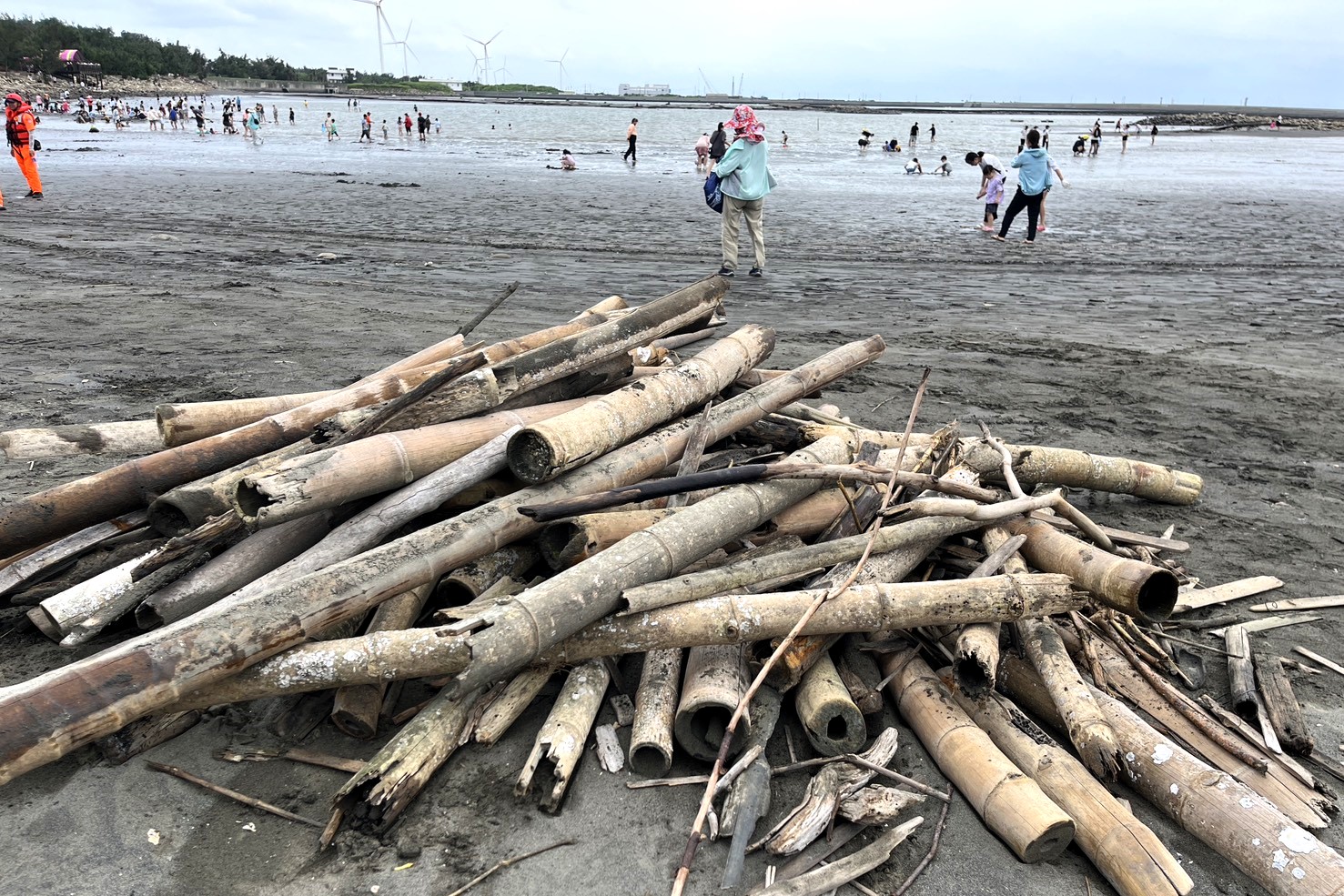 蚵棚竹架於颱風侵襲後流漂至海灘