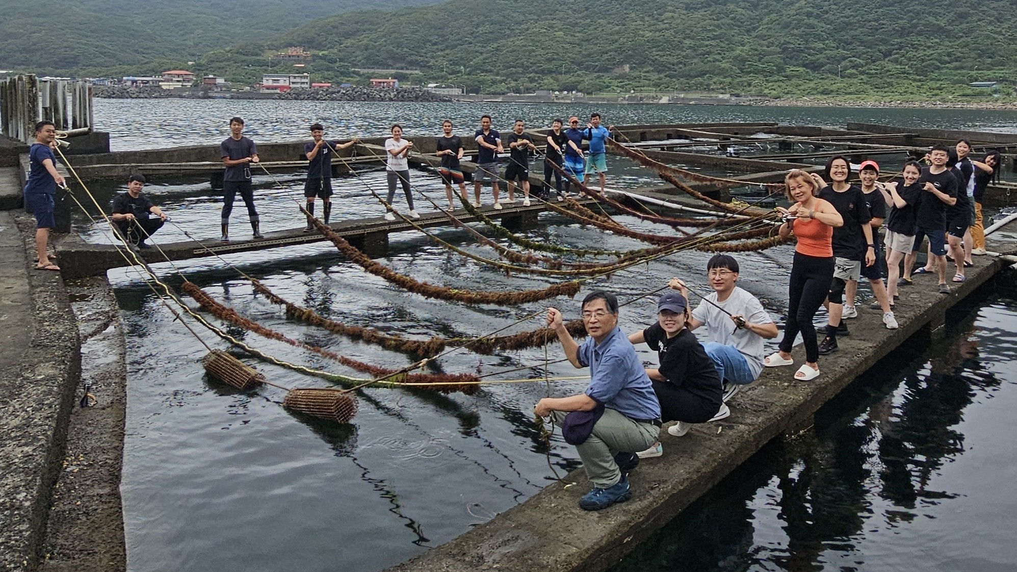 透過低利用九孔池吊掛藻繩，有效快速提升養殖海藻資源量，並降低在地居民野採壓力。
