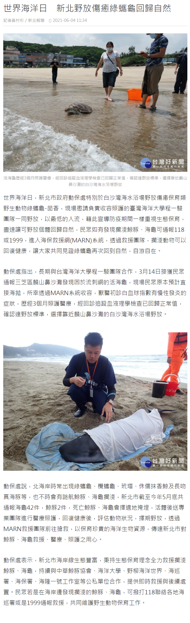 台灣好新聞-程一駿教授海龜救援