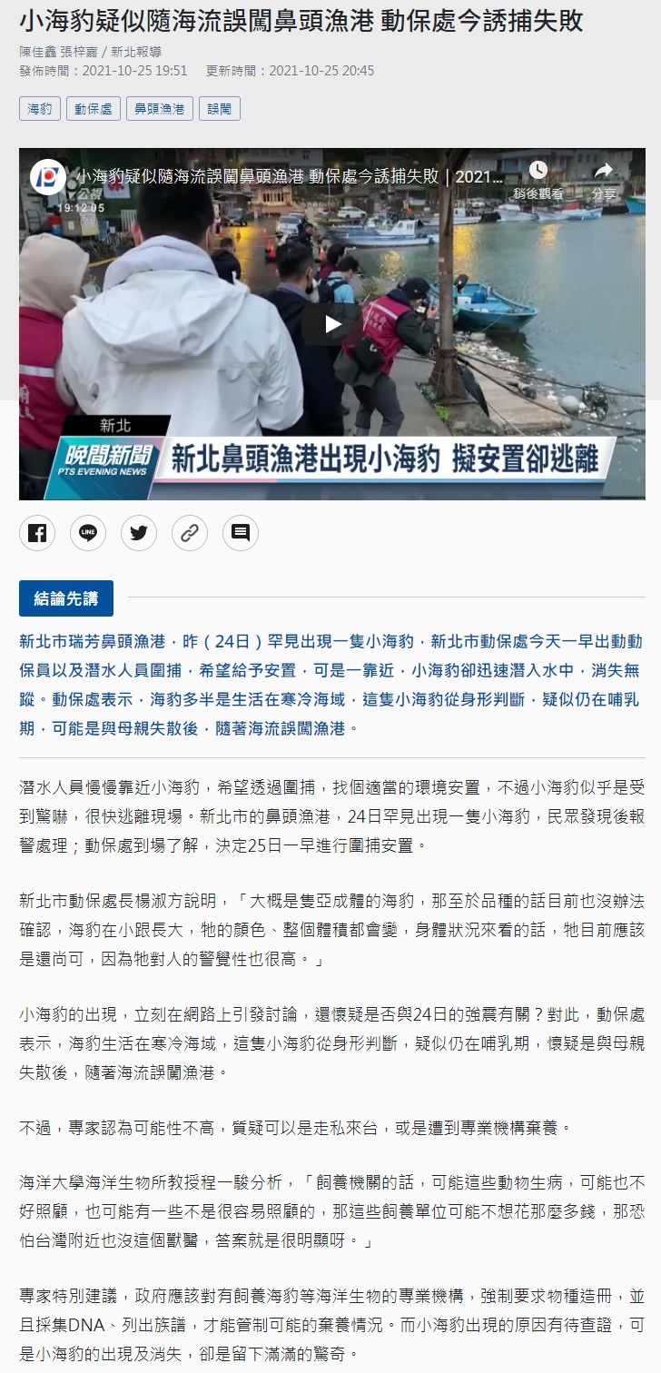 小海豹疑似隨海流誤闖鼻頭漁港 動保處今誘捕失敗