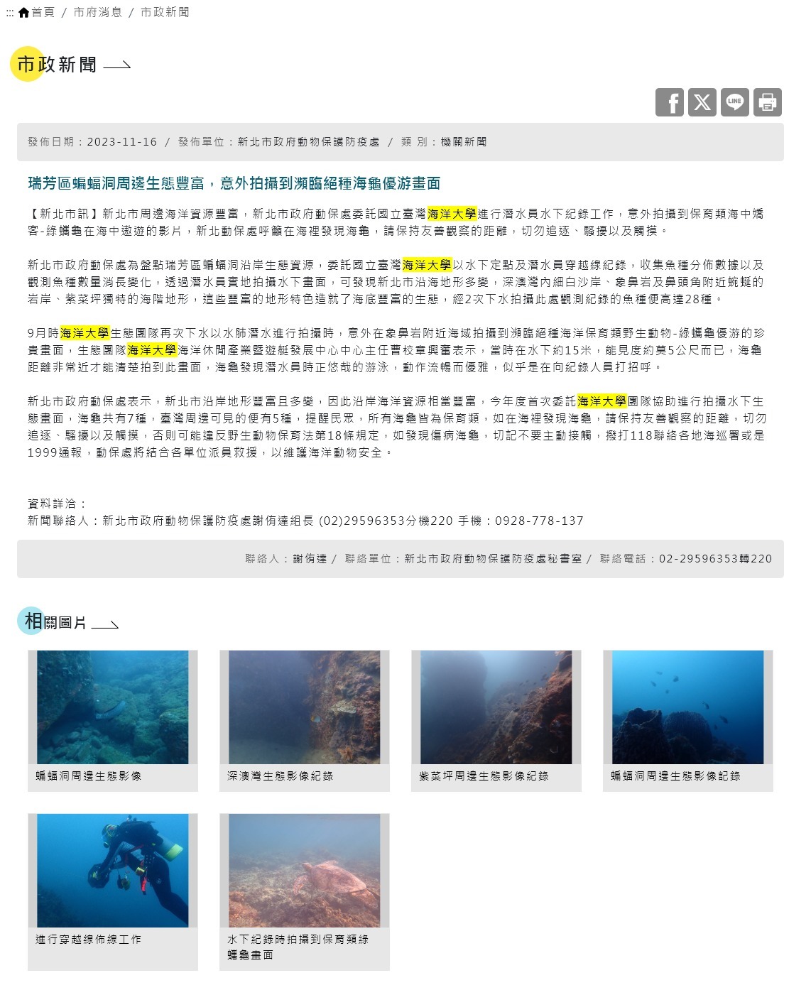 瑞芳區蝙蝠洞周邊生態豐富，意外拍攝到瀕臨絕種海龜優游畫面