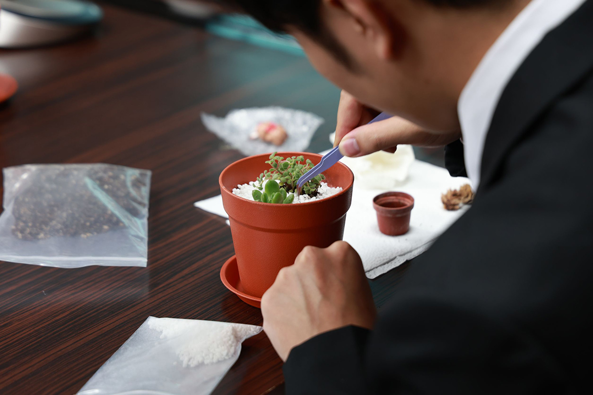 研習會參與者親手打造多肉植物組盆