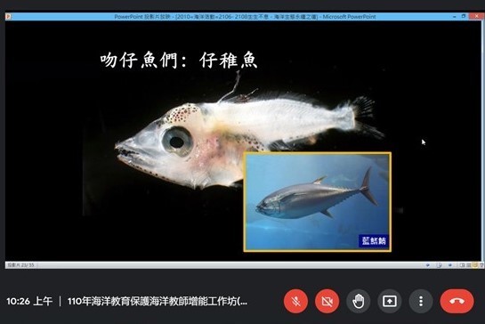 李承錄博士後研究員帶領教師學員認識生態