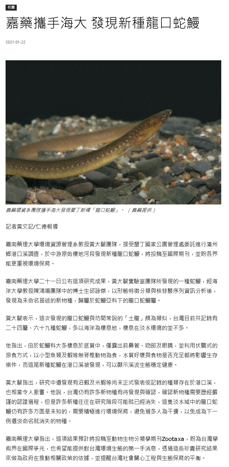中華新聞雲-新種龍口蛇鰻