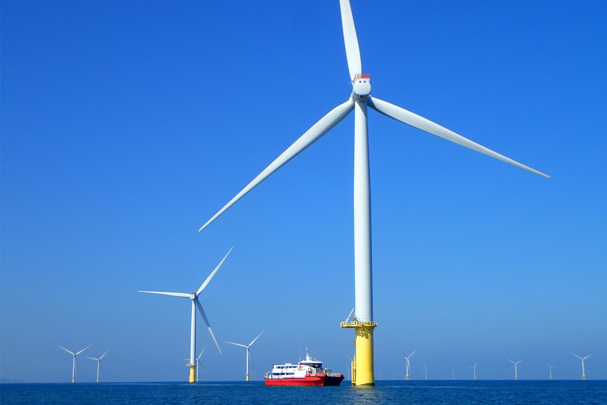 離岸風場成海洋綠洲 海大研究證實臺灣風機魚礁具備生態保育效益。(陳靜怡拍攝)